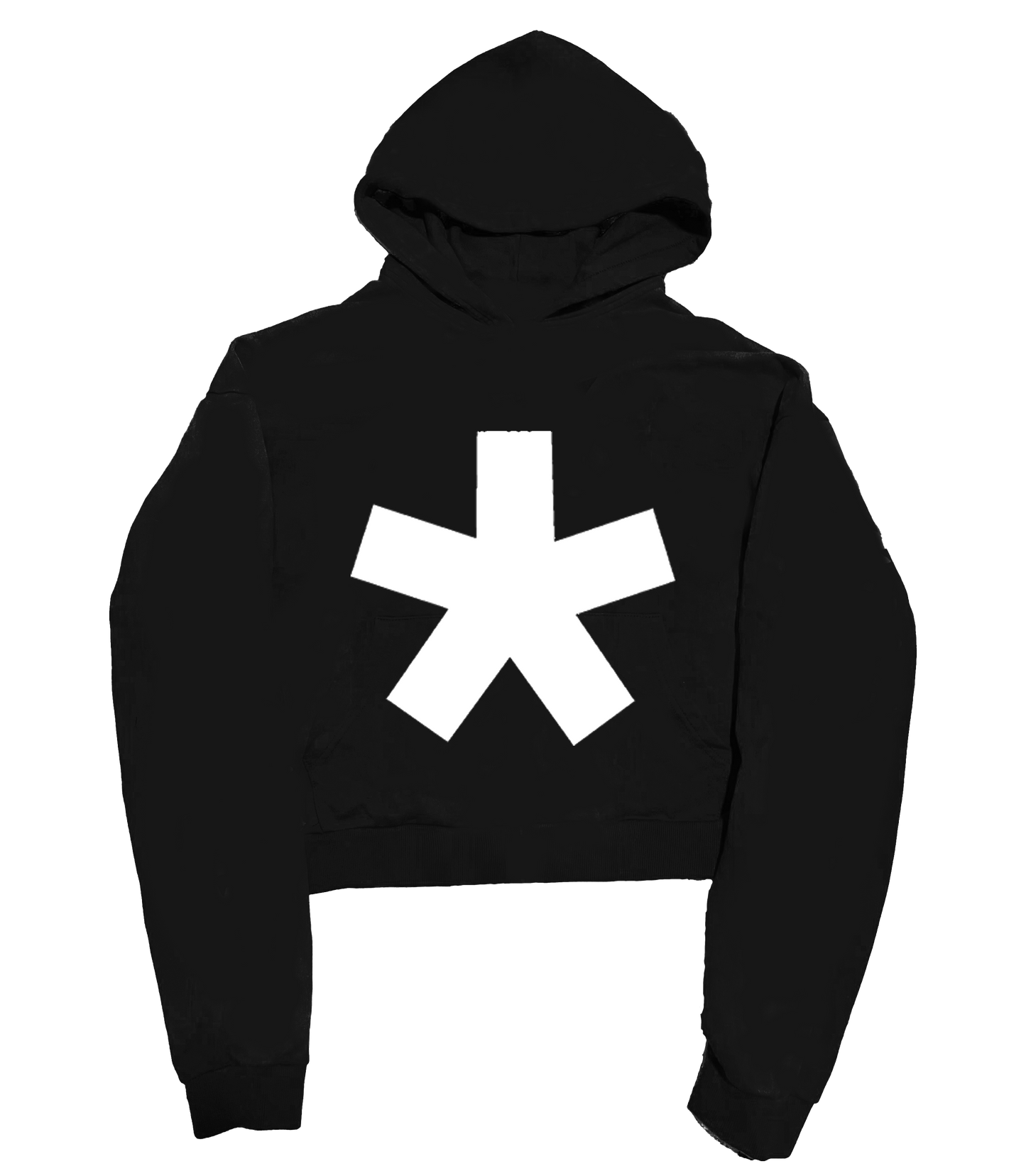 'ASTERIX' 500G HEAVYWEIGHT HOODIE